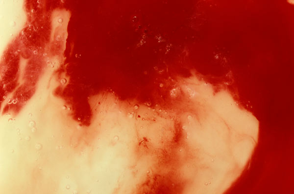 Andres Serrano (born 1950) Blood and Semen III, 1990. Chromogenic color print edition 1 of 4, 40 x 60 inches. Courtesy of the artist, Tacoma Art Museum and The Bronx Museum of the Arts.