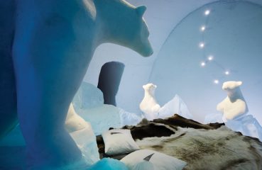 polar bear–themed suite
