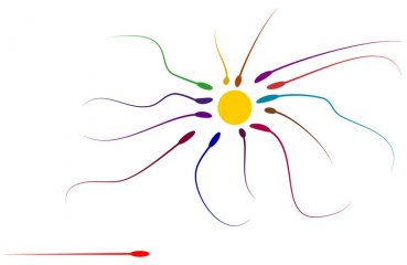 sperm and egg illustration