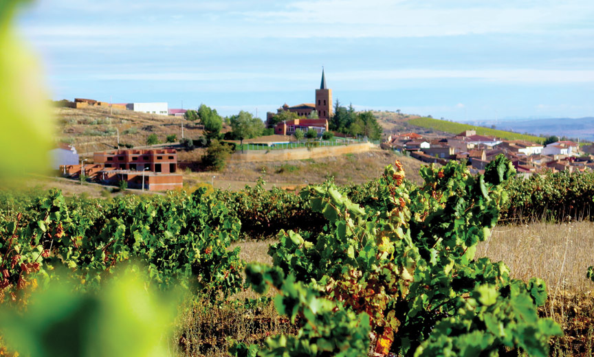 Vineyards of Carinena, Spain