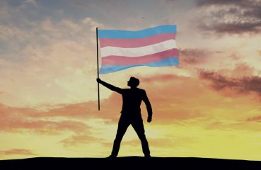 Figure Holding Trans Rights Flag