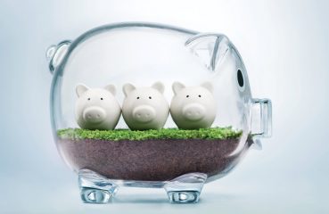 piggy bank stock photo