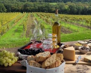 Pride in the Pour: Celebrating Global LGBTQ+ Winemakers